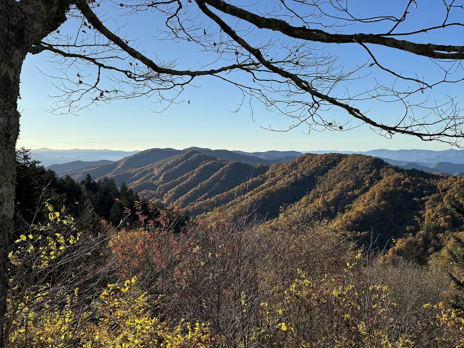 Pigeon Forge